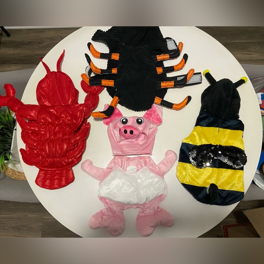 XS Dog Halloween costume( spider pig lobster bee)